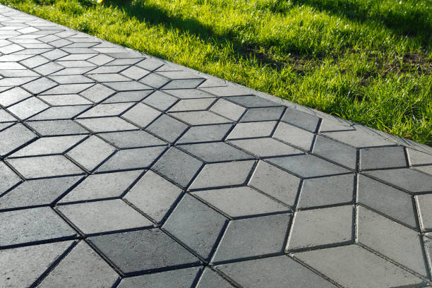 Best Residential Paver Driveway  in Norman Park, GA